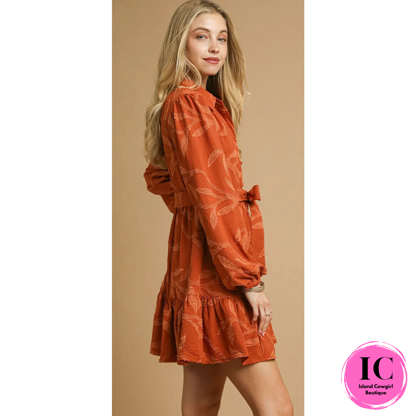 Why Not Now Rust Dress